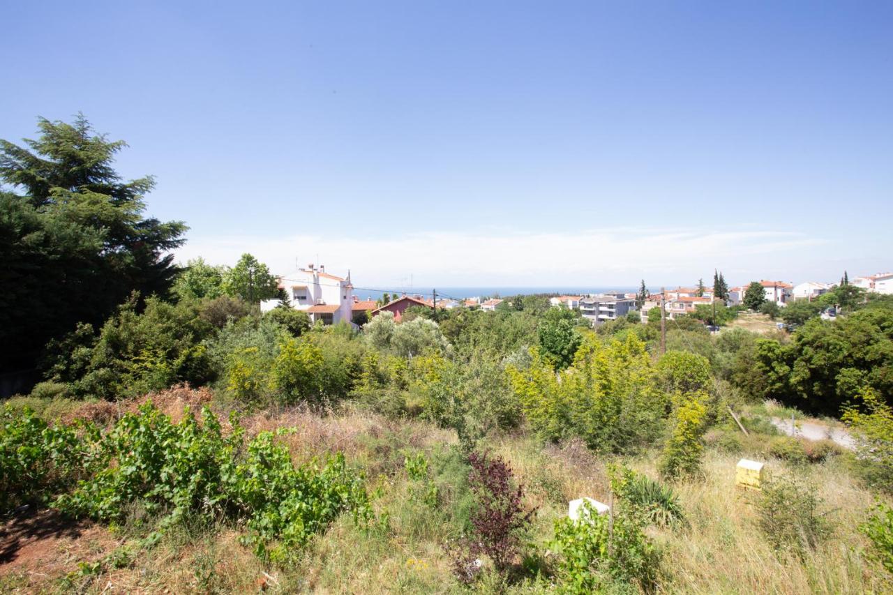 Τraditional Fully Detached Villa On A Luxurious Hillock Of Thessaloniki With Its Own Garden Also For Family & Wedding Gatherings For 10 To 25 People Only 15 Minutes From Airport Eksteriør billede