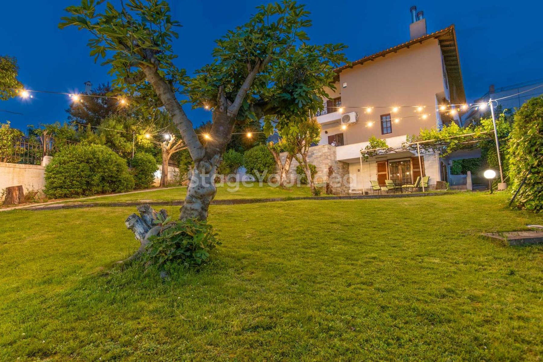Τraditional Fully Detached Villa On A Luxurious Hillock Of Thessaloniki With Its Own Garden Also For Family & Wedding Gatherings For 10 To 25 People Only 15 Minutes From Airport Eksteriør billede